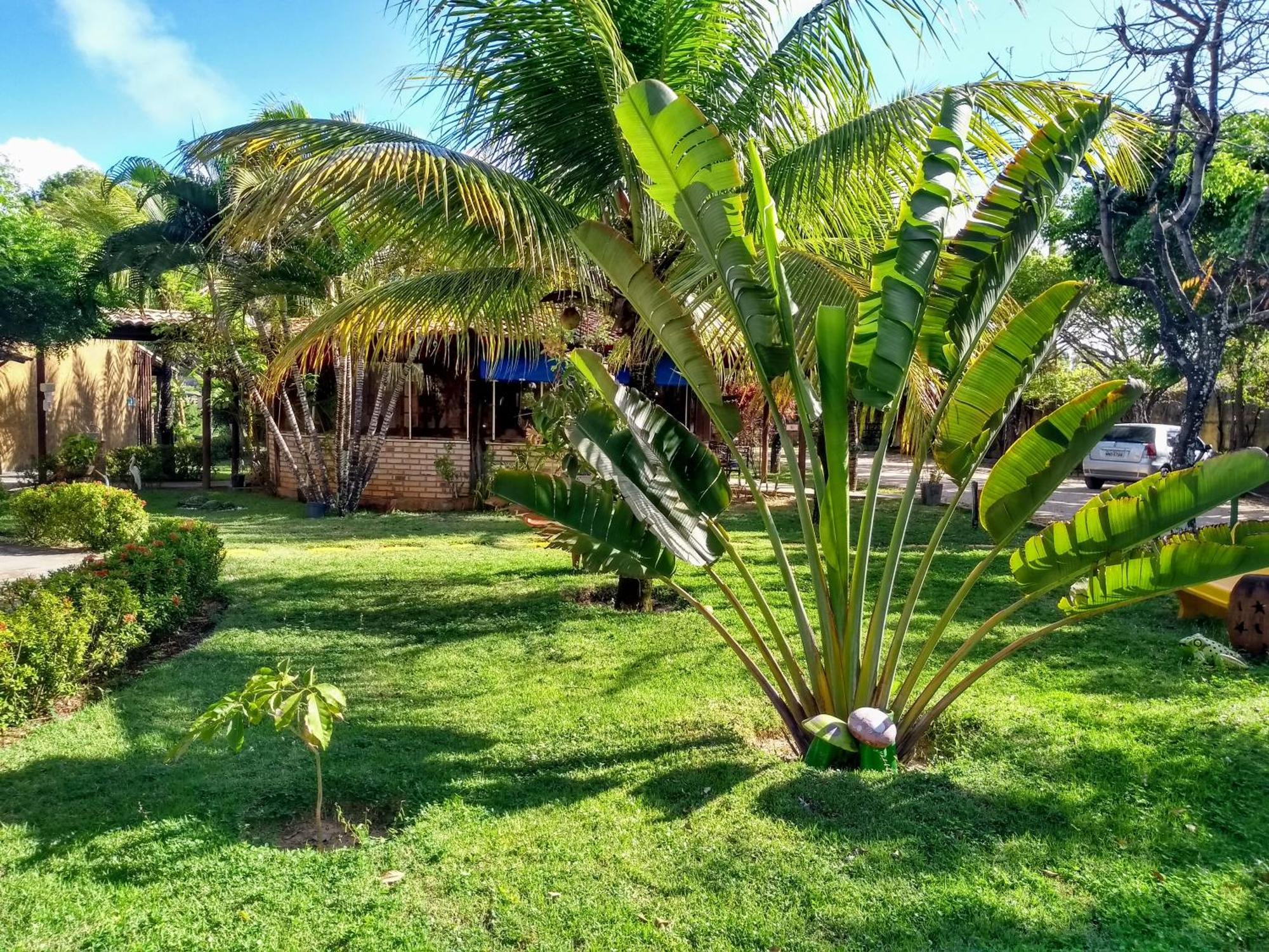 Hotel Enseada Maracajau Ngoại thất bức ảnh